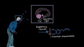 科普日韩综艺视频,笑料与智慧并存的文化盛宴