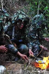 户外日韩欧美野战视频,日韩欧美野战视频深度解析