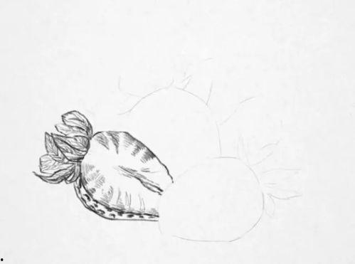 日韩零基础绘画教程视频,轻松入门，绘出你的艺术梦想