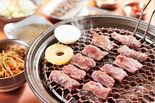 日韩烤肉哪里最好吃视频,探寻全球最佳味蕾之旅