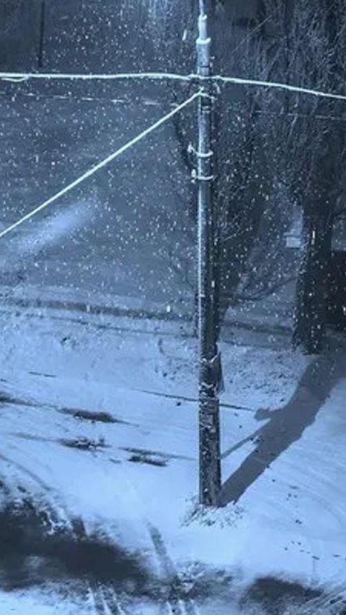 日韩下雪的视频,日韩雪景视频中的纯净世界